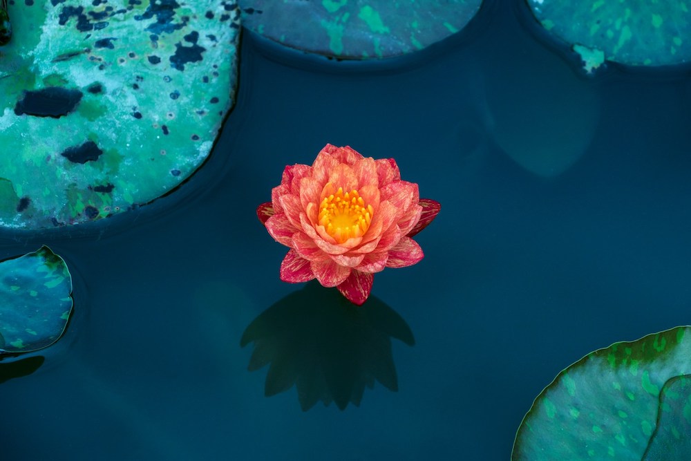 A Belső Csend - Transzcendentális Meditáció - Mély pihenés