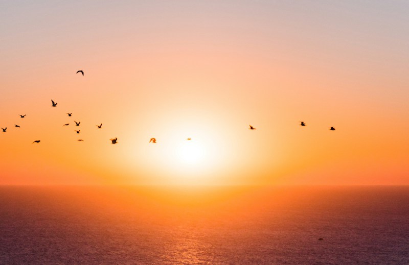 A Belső Csend - Transzcendentális Meditáció - Barátság
