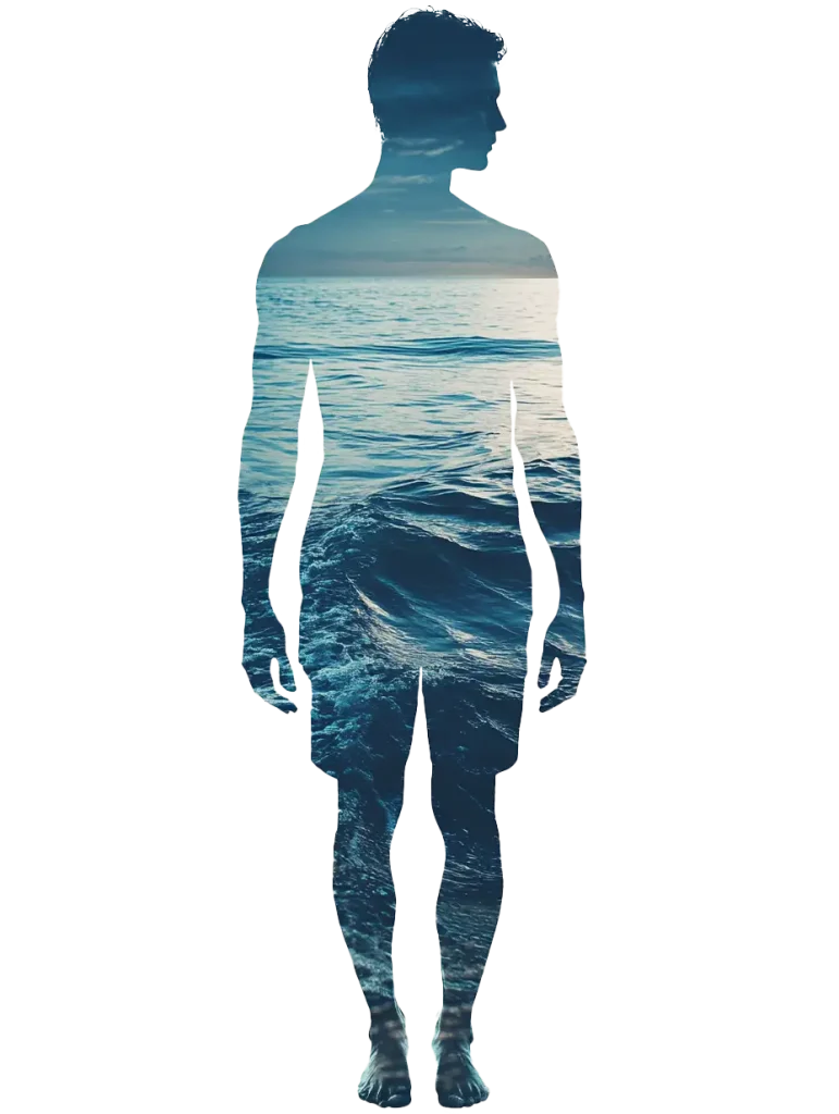 Csendes Elme - Transzcendentális Meditáció - Óceán
