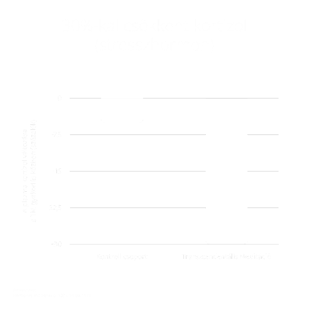 Csendes Elme - Transzcendentális Meditáció kutatás 21